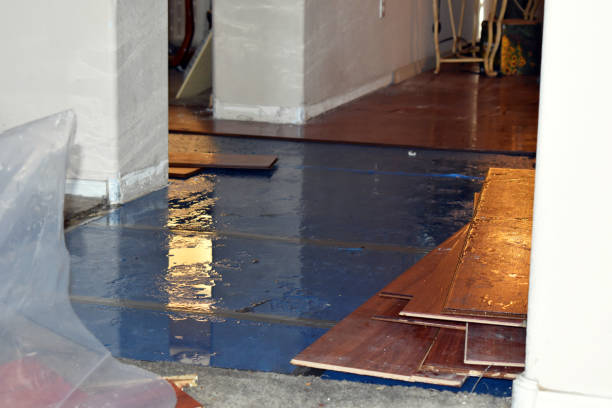 Professional Basement Flood Cleanup technician working in Ben Wheeler, TX
